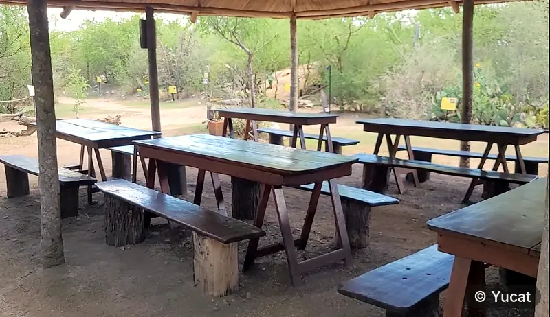 Quincho de techo de paja con mesas y bancos de madera, a la sombra, rodeado de monte y cactus.